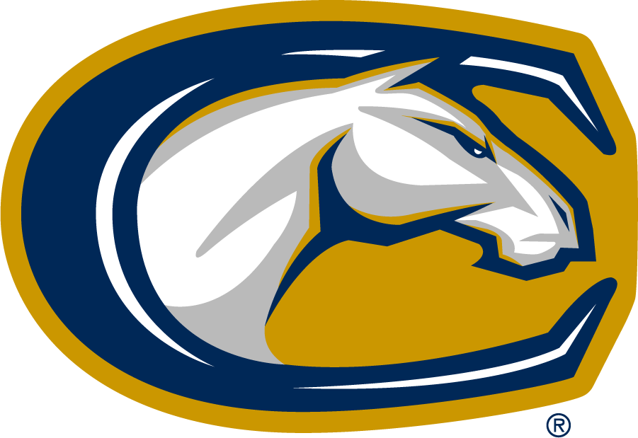 California Davis Aggies 2013-2019 Partial Logo diy iron on heat transfer